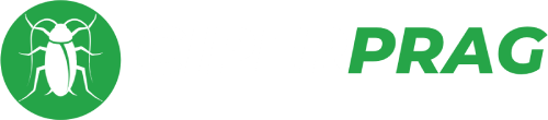 Logo Ciperprag Serviços — Parauapebas, PA